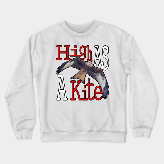 High as a Kite Crewneck Sweatshirt by barn-of-nature